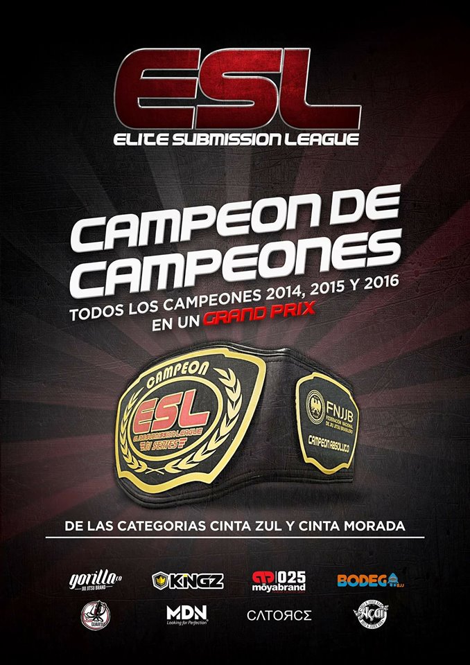 1campeon de campeones