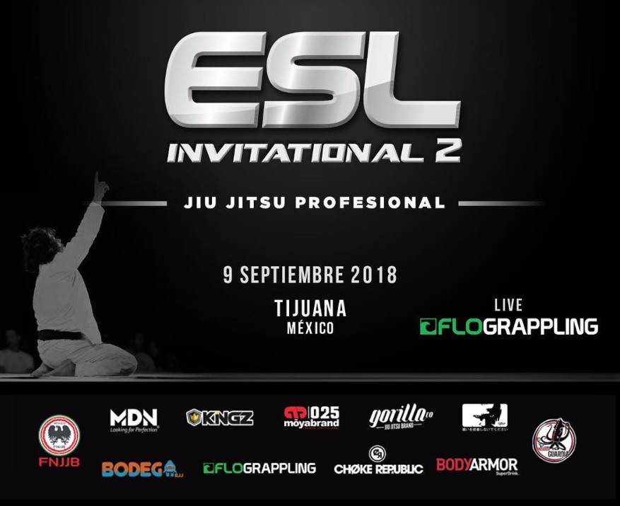 esl poster