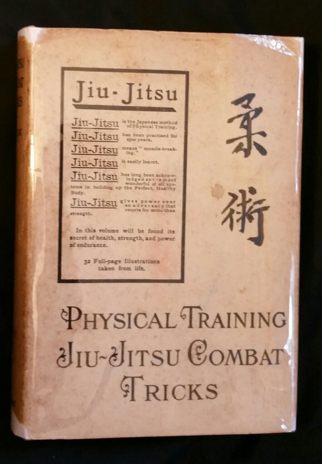 jiujitsu book