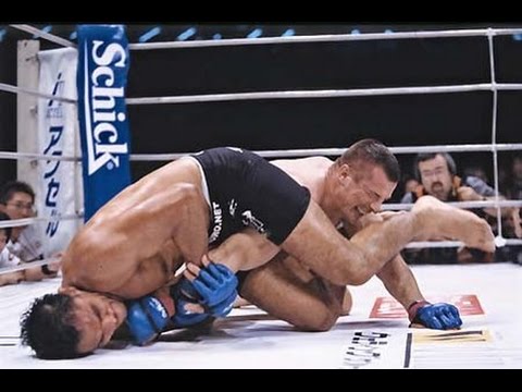 Nogueira vs Crocop